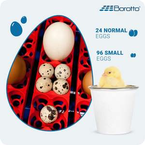 Real 24 Expert Medium-Sized Smart <b>Egg</b> Incubator Borotto Full Automatic 24 <b>Eggs</b> Professional <b>Egg</b> Incubator Made in Italy - Product Image 2