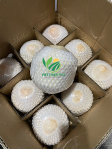 Coco fresco Premium de VIET NAM-Embalaje a granel La mejor OFERTA DE JULIO Contáctenos para cotización y muestras VIET THIEN PHU COMPANY - Product Image 3