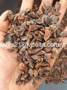 Anis étoilé séché biologique du Vietnam : une spécialité au parfum distinctif et caractéristique pour les plats et les boissons/ Mme Lima - Product Image 4