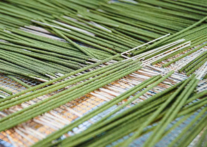 INCIENSO EUCALIPTO ARTESANAL/PARA UNA EXPERIENCIA DE AROMA NATURAL/HECHO EN VIETNAM - Product Image 2