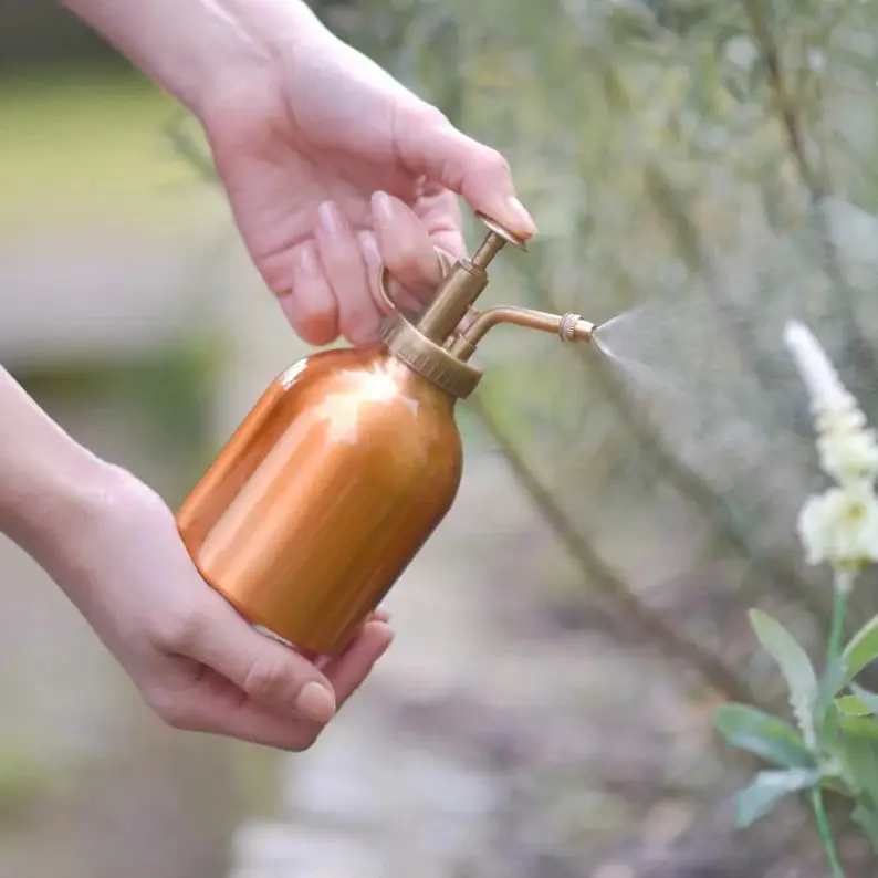Giá thấp làm bằng tay nhỏ đồng thực vật Mister với đồng hoàn thành cho không khí trong nhà thực vật mọng nước cây phun và Mister