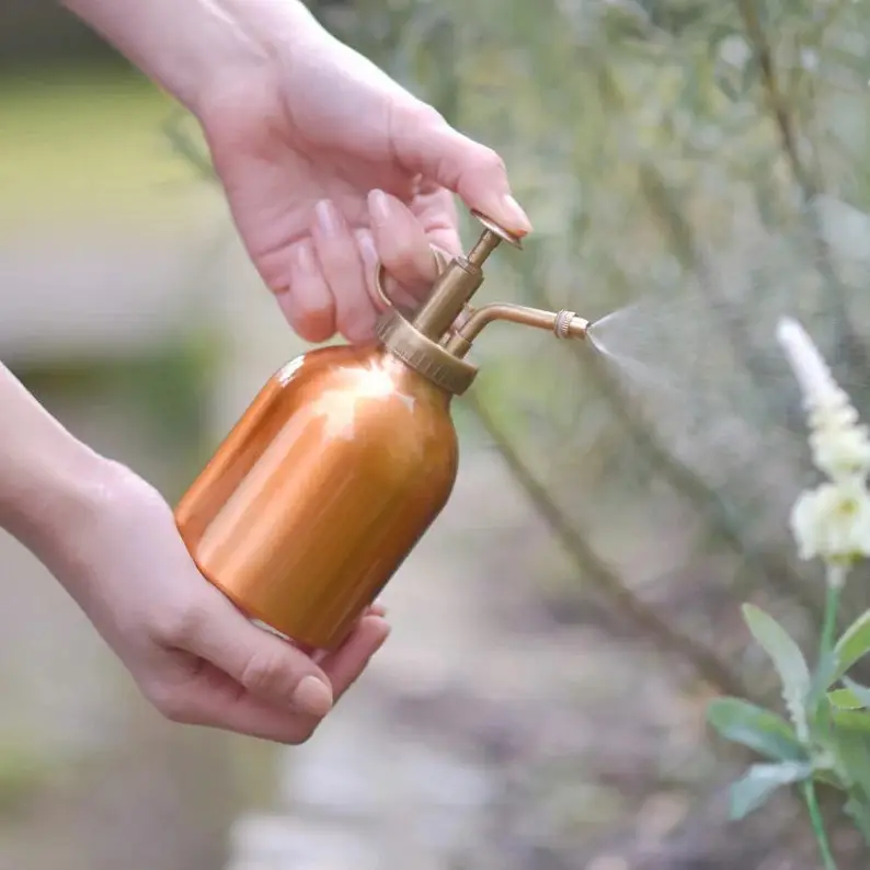 Lage Prijs Handgemaakte Kleine Koperen Plant Meneer Met Koper Afgewerkt Voor Binnenshuis Lucht Plant Vetplant Sproeier En Meneer