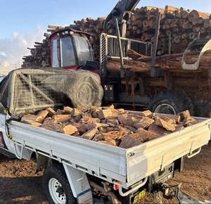Hard Beech Firewood <b>Kindlings</b> for Custom Timberwork and Softwood Pine <b>Fire</b> Starter Wood High-Performance Premium Use - Product Image 5