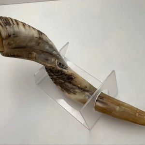 Corne de Choréphore en Mouton Naturel Poli - Décoration Religieuse Écologique de Haute Qualité pour la Maison - Product Image 1