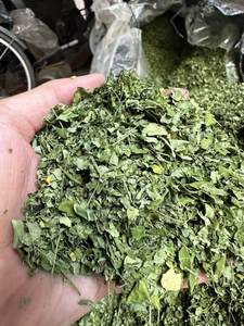 Vente en gros de feuilles de Moringa séchées du Vietnam Oleifera, adaptées aux sachets de thé en vrac, marque personnalisée directement en usine - Product Image 5