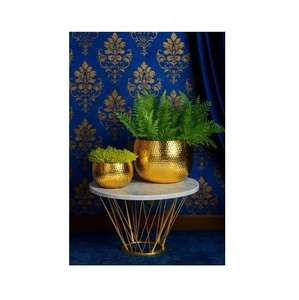 Vente chaude Pots de plantes en métal aluminium esthétiques Sculptés à la main Écologiques Décoration de jardin moderne Décoration de la maison Planteur Salon Bureau Hôtel - Product Image 2