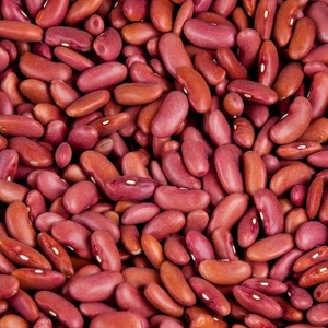 Frijoles blancos de grado superior al por mayor naturales de la más alta calidad para exportar frijoles de riñón blancos grandes de alta calidad - Product Image 5