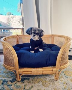 Lit pour animaux de compagnie en rotin naturel Durable et écologique du Vietnam - Product Image 2