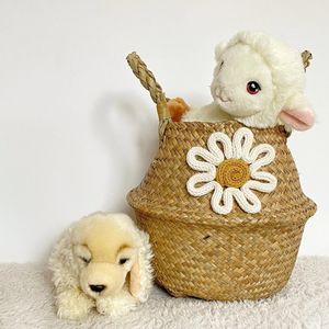 Seagrass Belly Basket Storage <b>Box</b> & Bin Sustainable and Stocked Vietnam Handicraft - Product Image 3