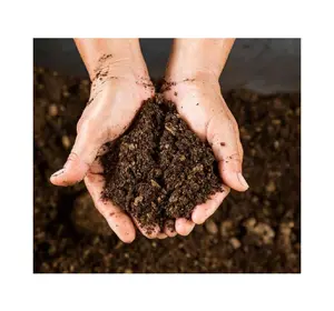 WHOLESALE VERMICOMPOST FERTILIZER - Earthworms compost/ organic vermicompost