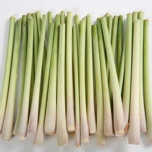 HIERBA DE LIMONA EN LONCHAS CONGELADA PARA BASES DE SALSA BEBIDAS HERBALES ACEITES SABORIZANTES Y PRODUCCIÓN INDUSTRIAL DE ALIMENTOS - Product Image 1