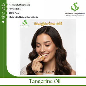 Huile de mandarine naturelle développée pour les producteurs ayant besoin d'une qualité aromatique constante pour leurs gammes de produits commerciaux - Product Image 5