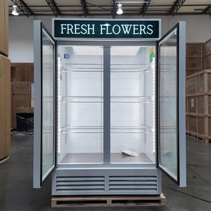 Réfrigérateur Commercial pour Bar, Vitrine Réfrigérée Verticale pour Boissons, Réfrigérateur à Boissons Froides avec Porte Vitrée, Portable - Product Image 6