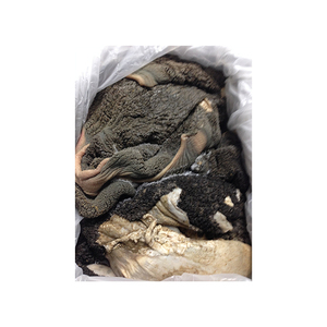 Raw Green <b>Beef</b> Tripe in Large Quantities Available at Discounted Rates for Wholesale Buyers - Product Image 1