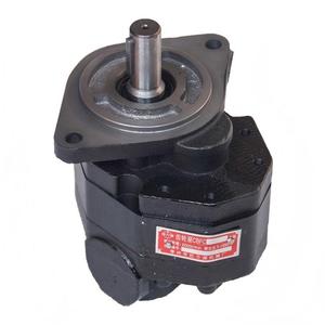 Pompe de direction de transmission pour chargeuse sur pneus 11C0353 P257-G63 487ZGA6 P2063/0020 – Pièces hydrauliques de rechange – Approvisionnement direct usine - Product Image 2