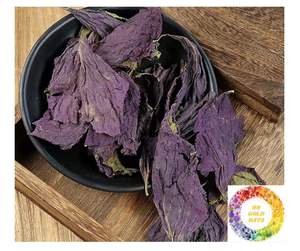 Feuilles de périlla séchées de qualité supérieure pour l'exportation en vrac Shiso vert et Britton Perfection Les meilleures feuilles de périlla séchées Offre compétitive - Product Image 3