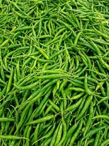 พริกเขียวสดสำหรับผู้นำเข้าอาหารสดฮ่องกง - Product Image 3