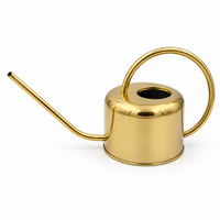 Arrosoir en métal de 1 L avec long bec verseur et poignée en boucle pour plantes d'intérieur, couleurs argent, or et cuivre