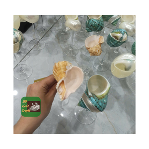 VIDRIO MARTINI DE CONCHA NATURAL SOSTENIBLE PARA DECORACIÓN FIESTA/BODA/RESTAURANTES ORIGEN DE VIETNAM - Product Image 2