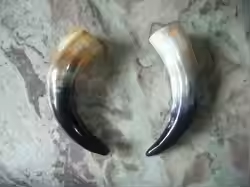 Ox Viking Natural Row Corne à boire finie Corne artisanale authentique par l'artisanat du croissant - Product Image 2