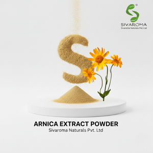Poudre d'extrait d'arnica haute performance pour les unités de fabrication de produits de soin et de cosmétiques - Product Image 3