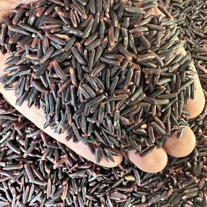 Premium nouvelle culture riz gluant noir à grains longs 1/2/3/5/10/25/50 KG PP sacs violet/noir collant Vietnam VILACONIC marque - Product Image 4