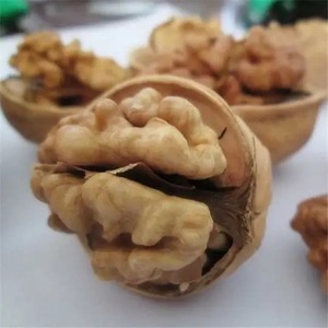 Cây trồng mới 100% nguyên liệu tự nhiên quả óc chó chất lượng tốt dinh dưỡng Áo nguồn gốc 2 năm Thời hạn sử dụng - Product Image 6