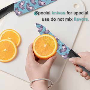 Nuevo Juego de 2 Cuchillos de Cocina de Cerámica de Primera Calidad, Afilados, Aptos para Lavavajillas, Ambidiestros, Venta al por Mayor de Fábrica, Entrega Rápida - Product Image 5