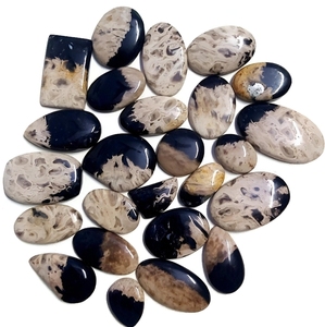 Piedra Preciosa de Raíz de Palma Fósil de Primera Calidad, Piedra Preciosa Natural de Raíz de Palma Fósil, Piedra de Forma Mixta para Joyería - Product Image 2