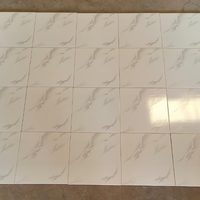 Carreaux de sol en céramique 30x30 cm revêtement de sol durable design élégant 300 MM X 300 MM surface brillante imprimée numériquement