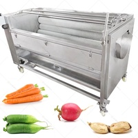 Laveuse-éplucheuse automatique de gingembre, ail et pommes de terre pour nettoyage à sec, à vendre