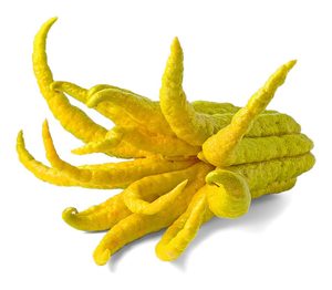 Buddah Fingers ส้ม - Product Image 1