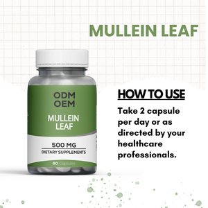 OEM/ODM Vente en gros Capsules d'extrait de feuille de molène naturelle Produit populaire Supplément de santé Extrait de feuille de molène - Product Image 5