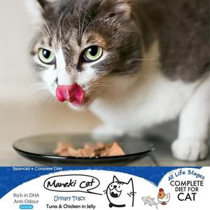 เยลลี่อาหารรสไก่และฟักทองสำหรับแมวและลูกแมวจากประเทศไทย - Product Image 6