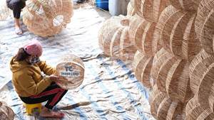 Produit chaud Bols en coquille de noix de coco sculptés à la main non polis servant un bol en noix de coco Indie Bol en noix de coco fabriqué au Vietnam - Product Image 5