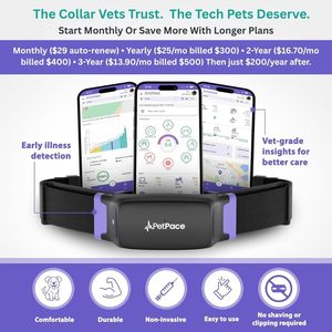 Collar Inteligente PetPace V3.0 con IA para Perros, Monitorización de Signos Vitales 24/7, GPS, Telemedicina y AskaVet Share, Monitor de Salud Canina - Product Image 2