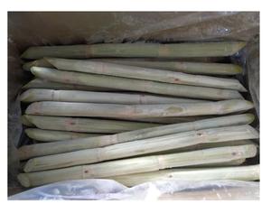 CANNE À SUCRE CONGELÉE AU GOÛT FRAIS-QUALITÉ PREMIUM-PRIX COMPÉTITIF À PARTIR DE 99GD VIET NAM - Product Image 1