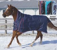 BRAND ZONE Couverture pour cheval en polaire 350 GSM personnalisée, imperméable, pour l'hiver, avec 2 sangles de fixation - Utilisation en écurie et à l'équitation, lavable en machine