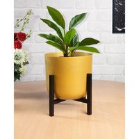 Set Pot Meena Logam Mewah Modern dengan Dudukan, Pot Bunga Besi Berlapis Bubuk untuk Penggunaan Sehari-hari di Ruang Makan dan Ruang Tamu