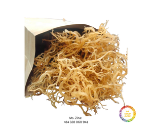 Mousse de mer crue biologique de haute qualité 100% en grande quantité séchée avec le processus AD Nouveau modèle Emballage de sac du Vietnam à bon prix - Product Image 5