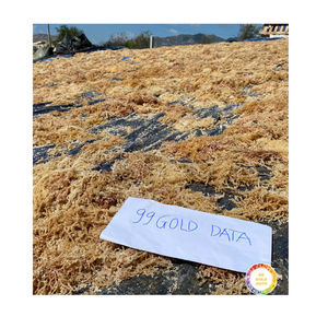 Eucheuma Cottonii séché à faible teneur en humidité/mousse d'Irlande/mousse de mer de variété du Vietnam Laver - Product Image 1