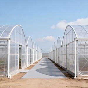 Serre en film multi-travées pour projets agricoles modernes avec kit de support technique et d'ingénierie professionnelle - Product Image 1