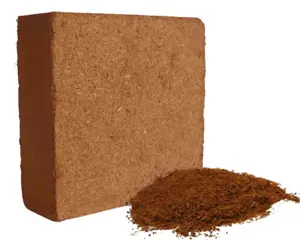 Fornecedor de jardim de alta qualidade para o Vietnã, bloco de 4,5 kg de turfa de coco para plantio de plantas com tamanho 29 x 29 x 15 cm 2024