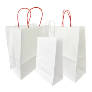 Paper bag manufacturer customized material size thickness color with your own logo Gold supplier Vietnam sona package