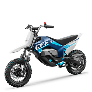 CFMOTOO CFX 2E 2024 - Product Image 1