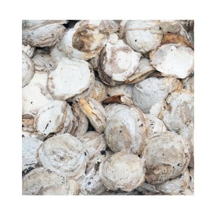 Taza de goma bulto/Na.tural Goma Copa Bulto Drc De 72% - Product Image 3