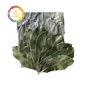 Meilleur prix pour les feuilles de corossol séchées, feuilles de graviola en vrac pour l'industrie alimentaire, feuilles de corossol séchées naturelles, herbes séchées en vrac - Product Image 5