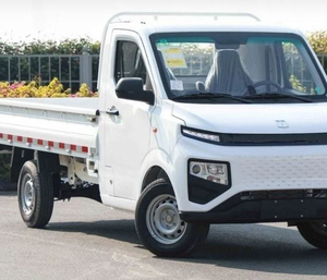 Gee LlyS Farizon F1e Eléctrico 2024, 95HP, Automático (Whatsapp /+1 4152363674) - Product Image 1