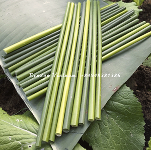 Eco2go 100% pajitas de hierba biodegradables naturales de alta calidad Material de PC Accesorios de barra para beber suministro a granel - Product Image 4