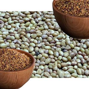 Berseem Clover | Cultivo listo para cultivar para ganado - Product Image 2